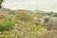 Additional image 11 of Shorwell, Isle of Wight