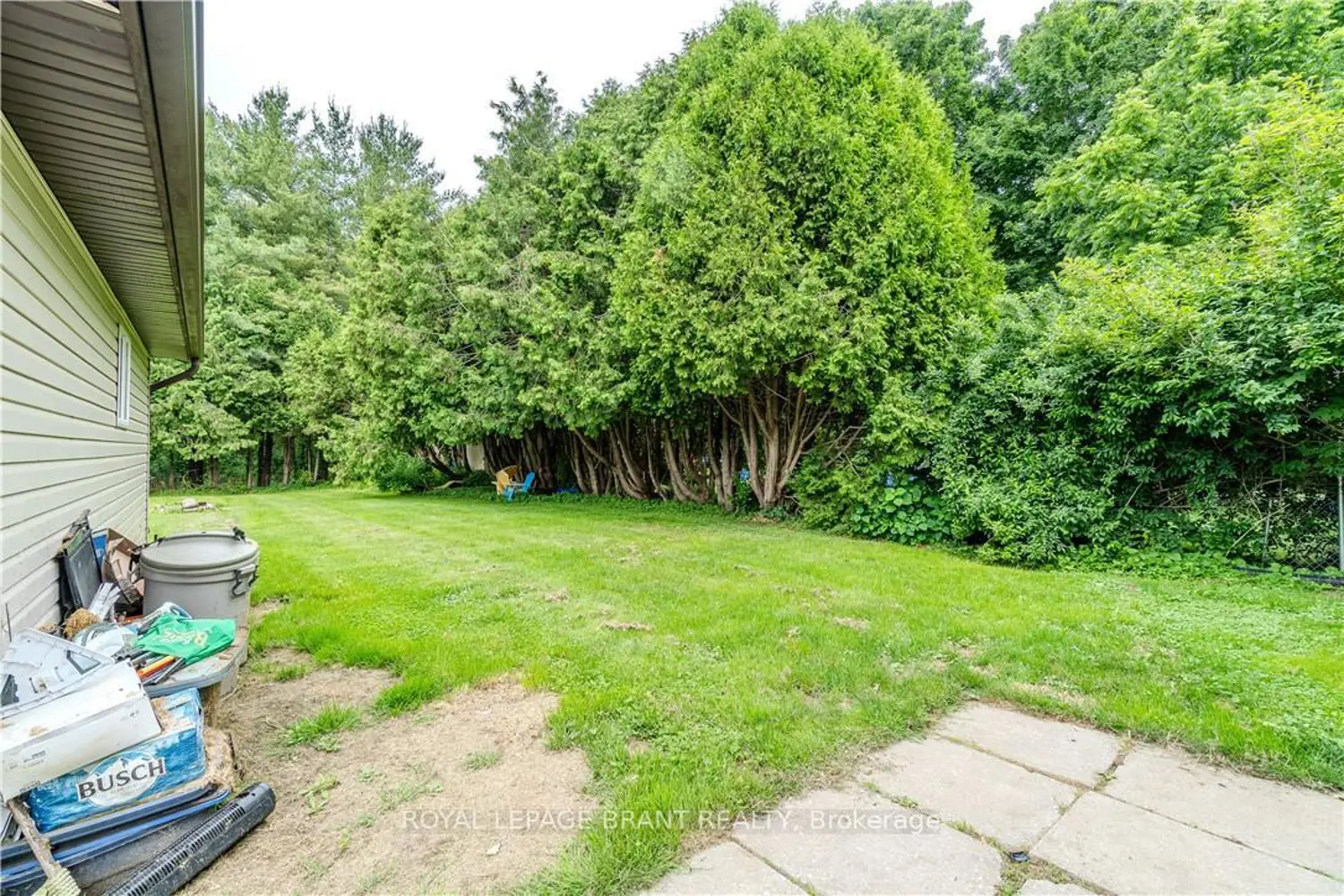 Additional image 11 of 978 Norfolk Street