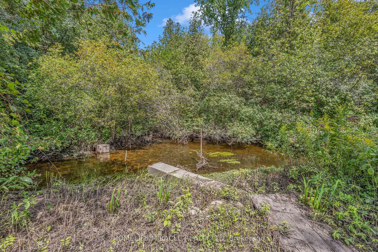 Additional image 18 of 4427 Concession 7