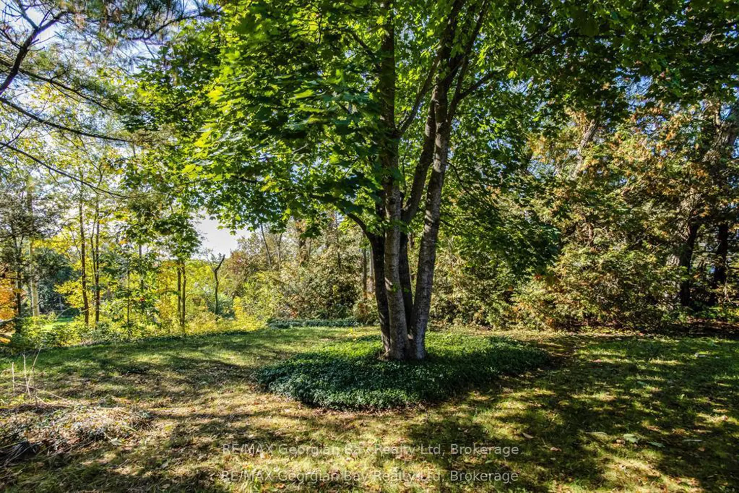 Additional image 16 of 134 Forest Harbour Parkway