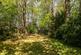 Additional image 17 of Bayley's Hill, Sevenoaks, Kent TN14.