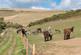 Additional image 9 of Limerstone, Isle of Wight