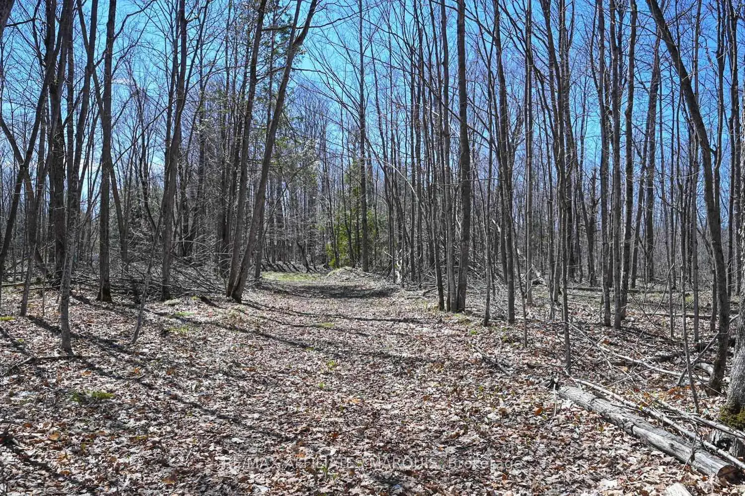 Additional image 17 of 375 Ferguson Tetlock Road