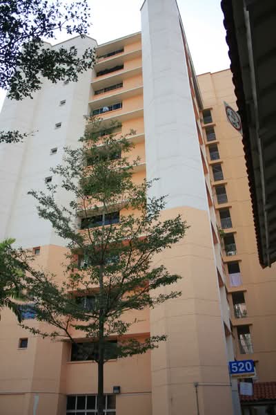 Additional image 10 of 520 Jurong West Street 52