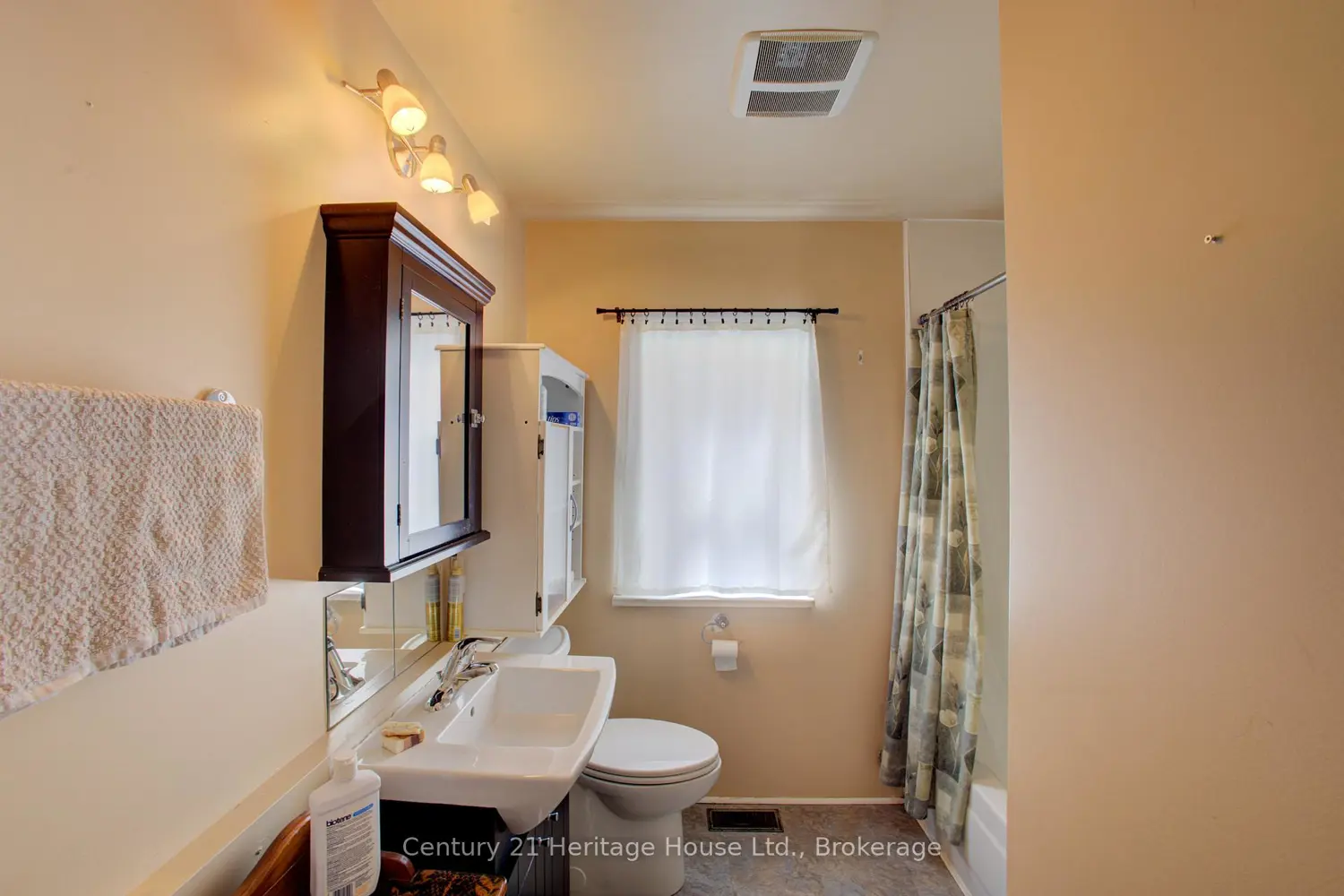 Additional image 14 of 221 Lambton Street