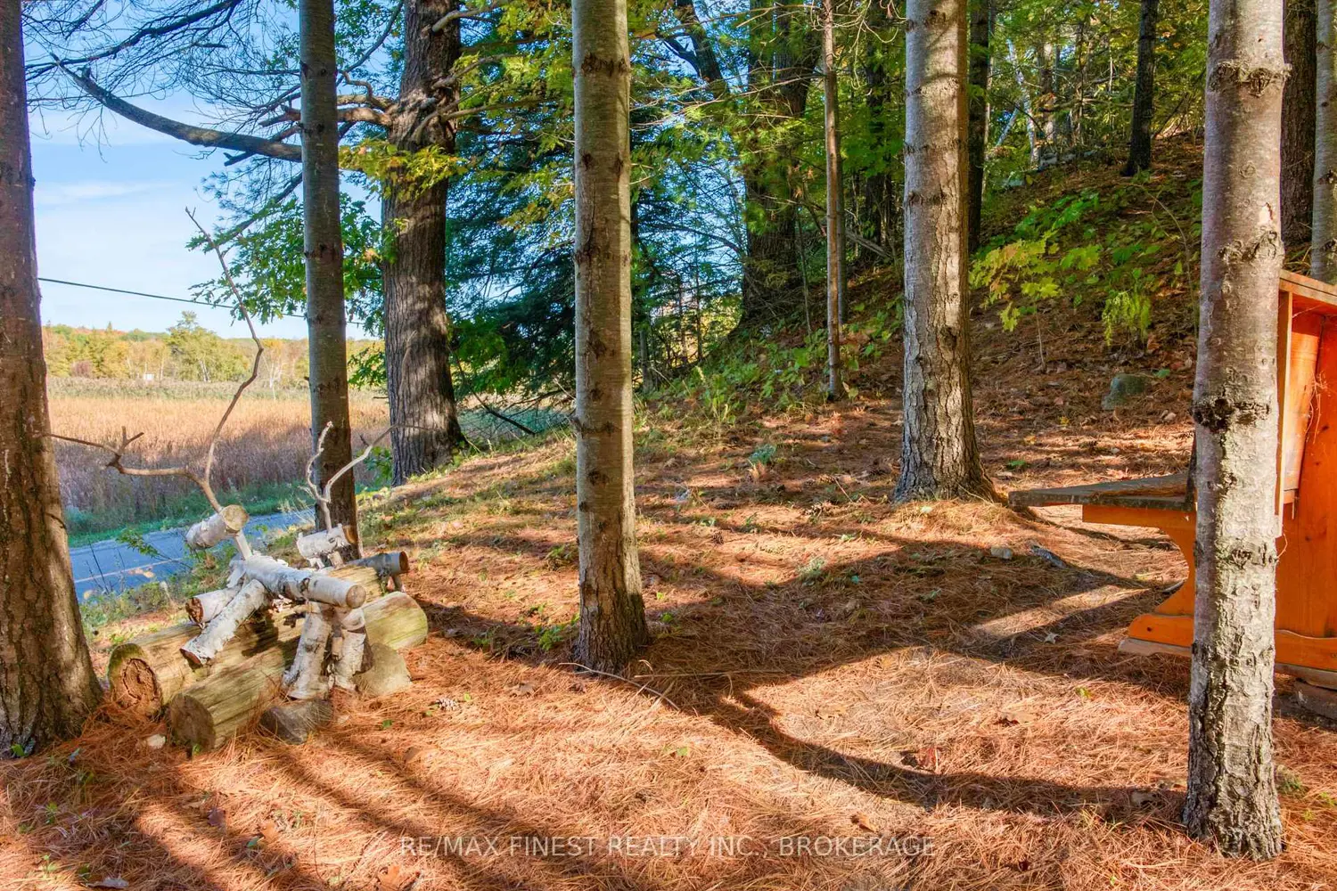 Additional image 8 of 10874 Canoe Lake Road