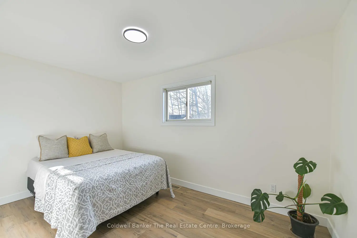 Additional image 6 of 355 Louise Street