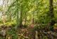 Additional image 19 of Bayley's Hill, Sevenoaks, Kent TN14.