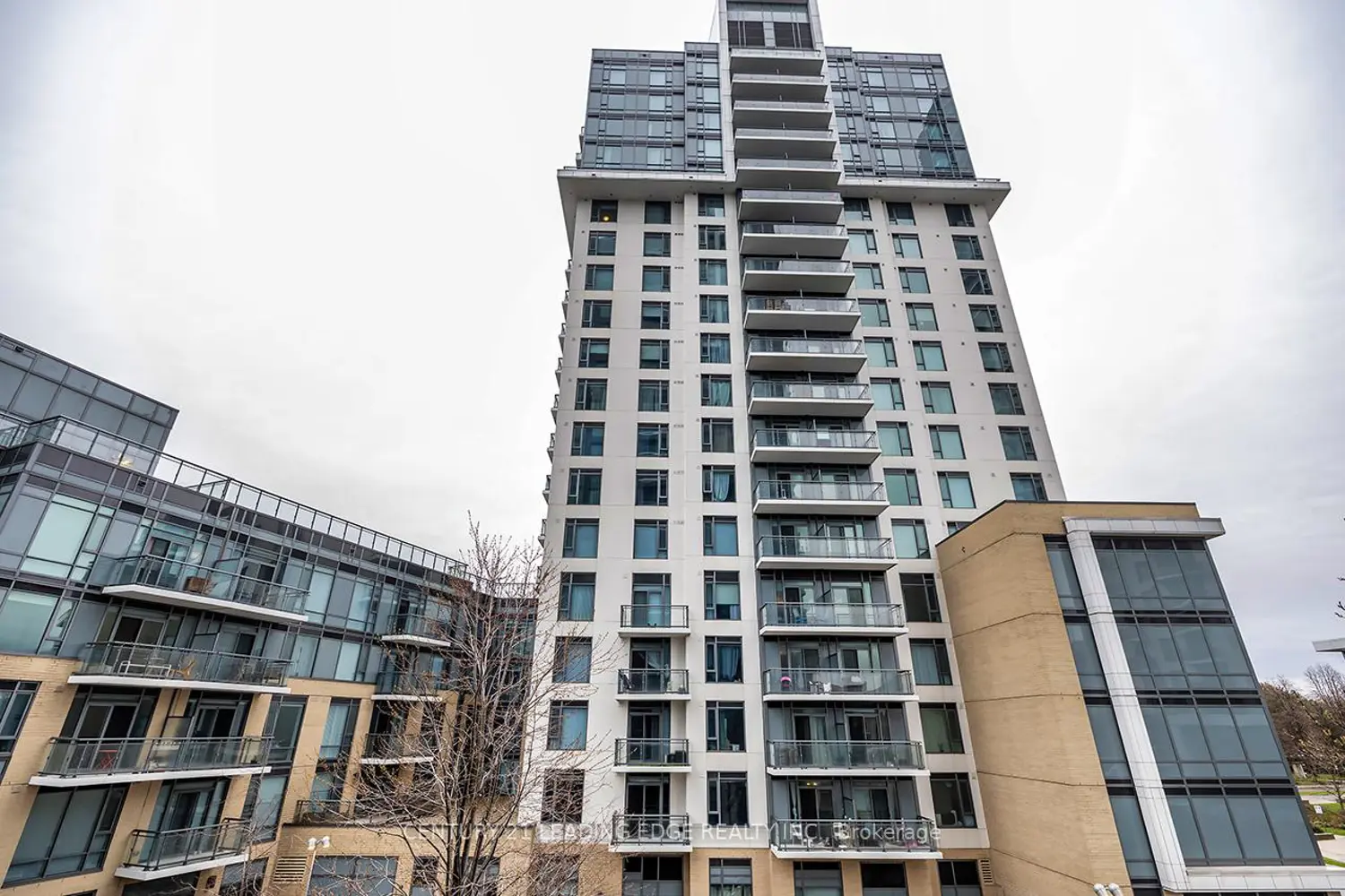 50 Ann O'reilly Road 303