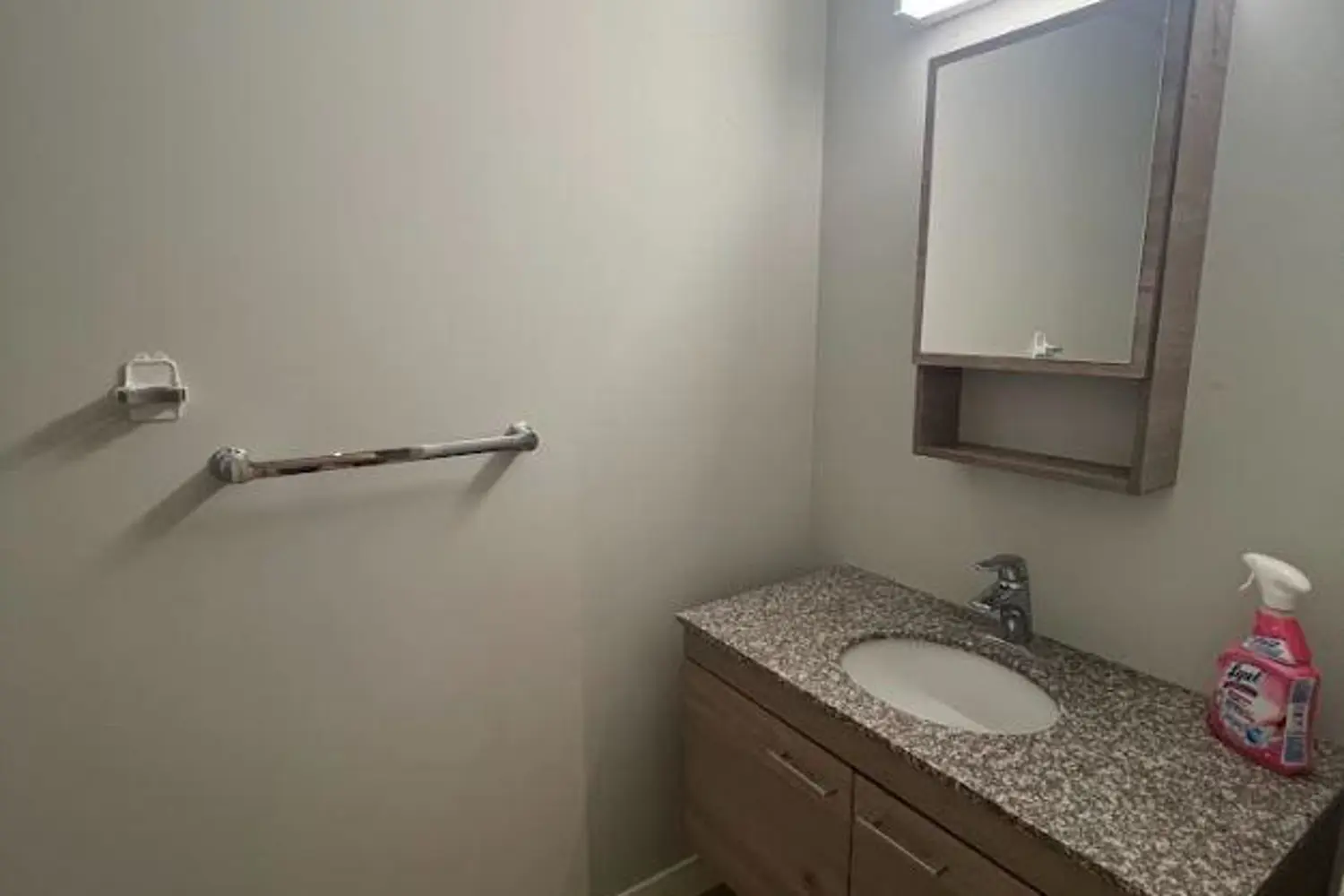 62 Balsam Street B207 photo 4