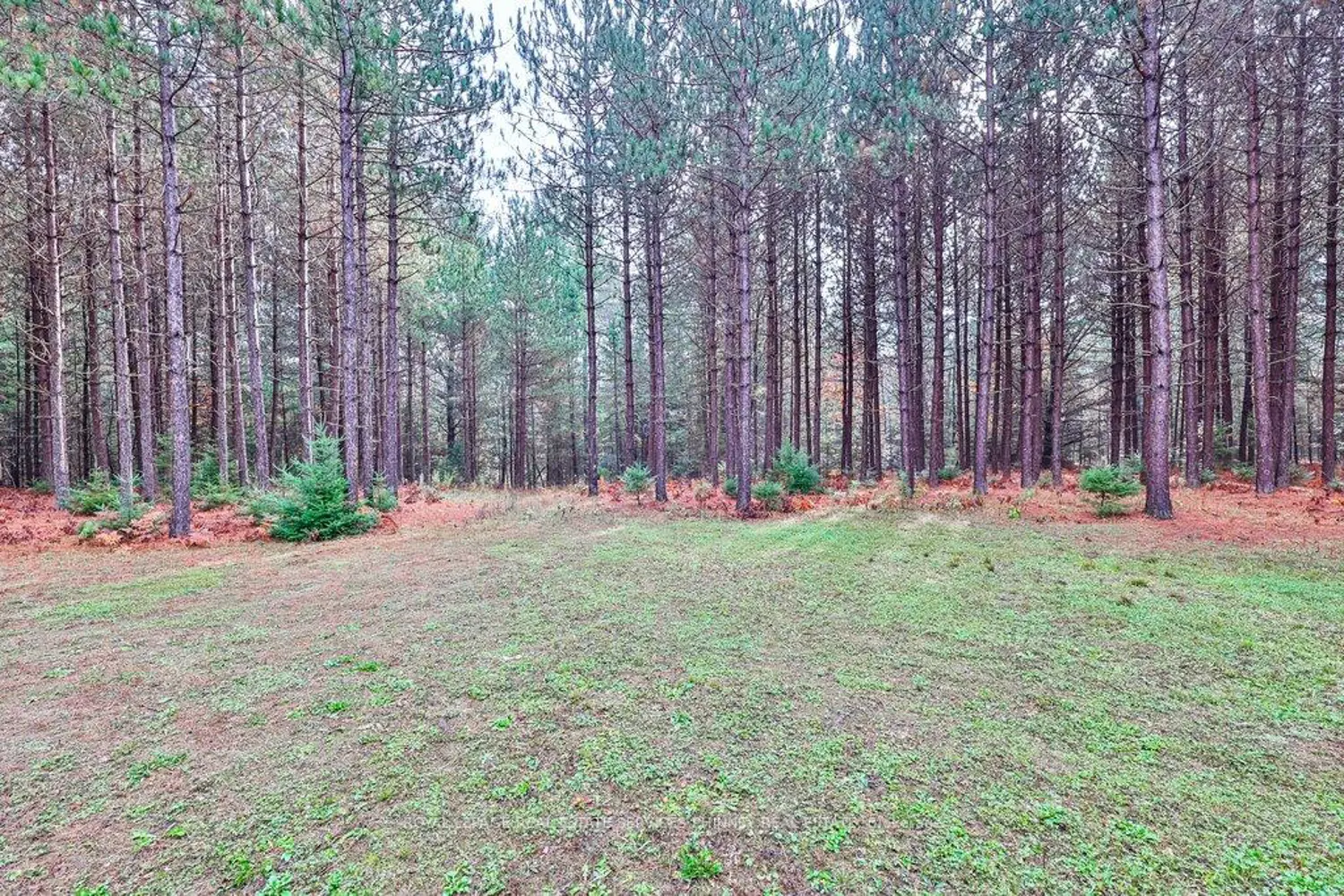 Additional image 17 of 72 Harmonious Drive