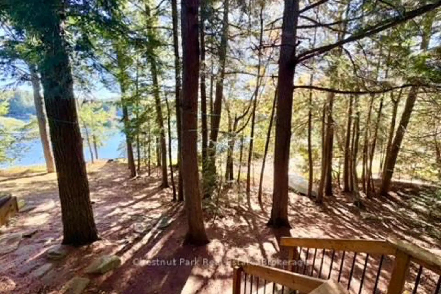 1062 Elmhurst Lane photo 3