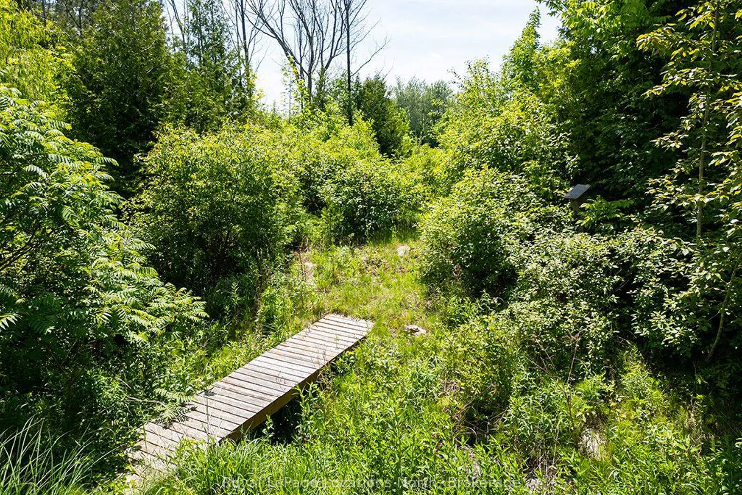 Additional image 17 of 110 John Watt Way