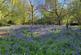 Additional image 15 of Hale, Fordingbridge, SP6