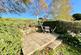 Additional image 21 of Shorwell, Isle of Wight