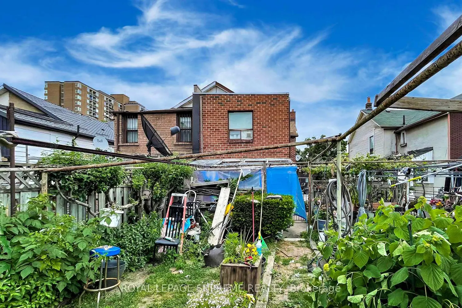 Additional image 16 of 156 Osler Street