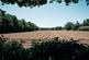 Additional image 40 of Le Catillon, Jersey JE3