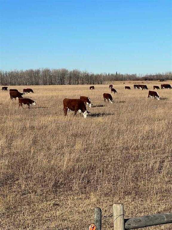 Additional image 5 of SE-32-71-5-W6 . , Grande Prairie, AB, T8X 0G4
