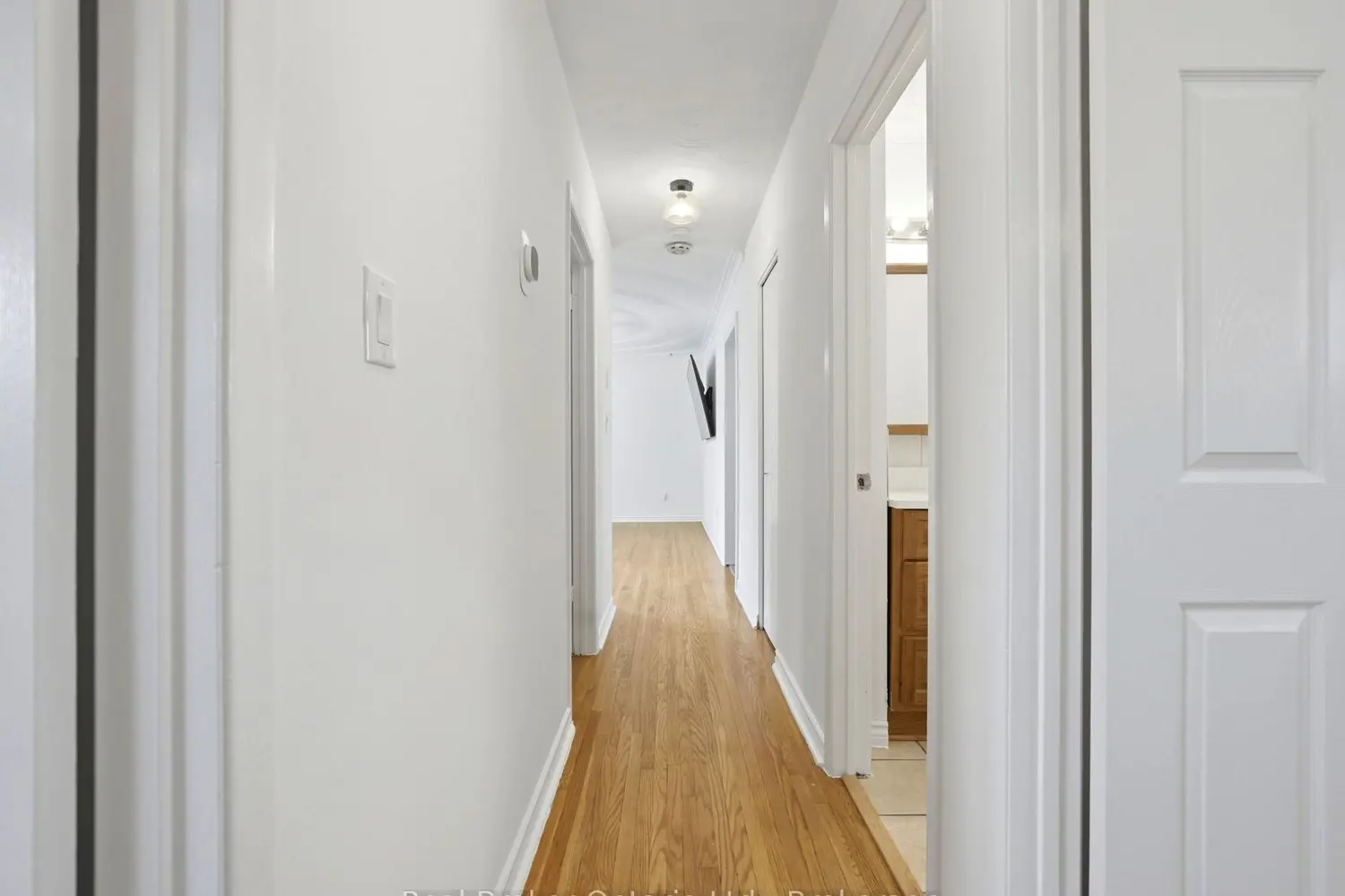 Additional image 8 of 393 Enfield Road