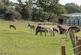 Additional image 10 of Limerstone, Isle of Wight