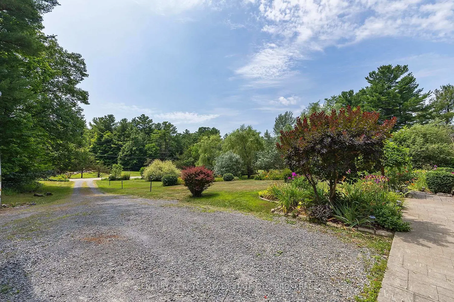 Additional image 4 of 211 Fitzsimmons Road