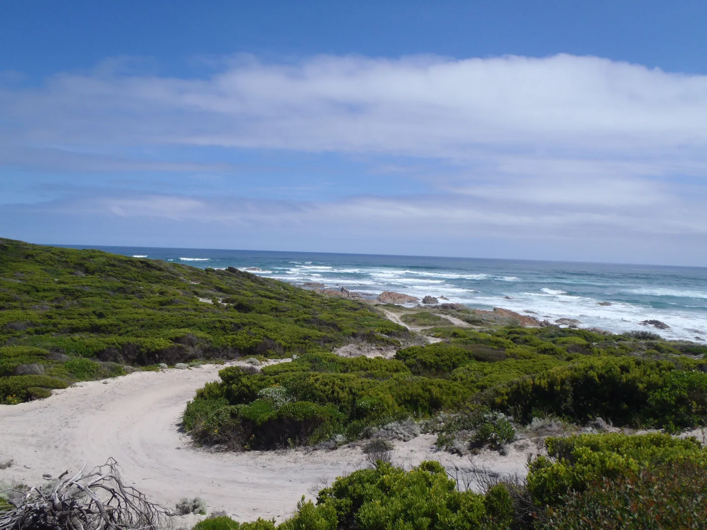 Additional image 4 of Nugara TAS 7256