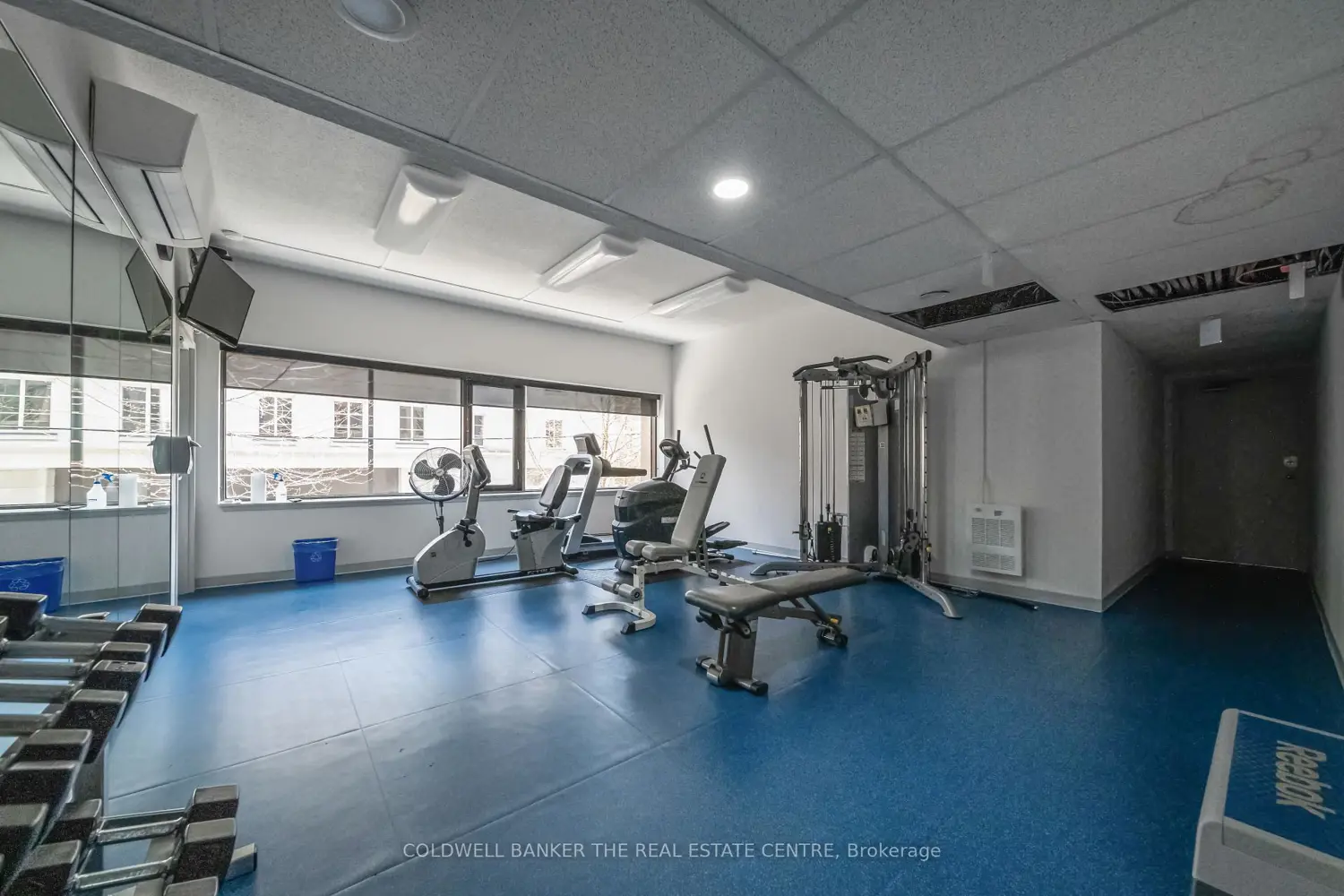 Additional image 16 of 447 Walmer Road 206