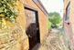 Additional image 24 of Shorwell, Isle of Wight