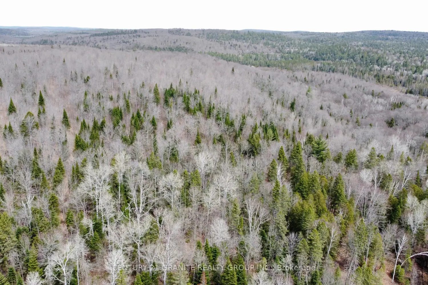 Additional image 17 of 1079 North Mackenzie Lake Road