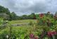 Additional image 16 of Hale, Fordingbridge, SP6