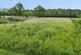 Additional image 21 of Ram Hill, Coalpit Heath, Bristol