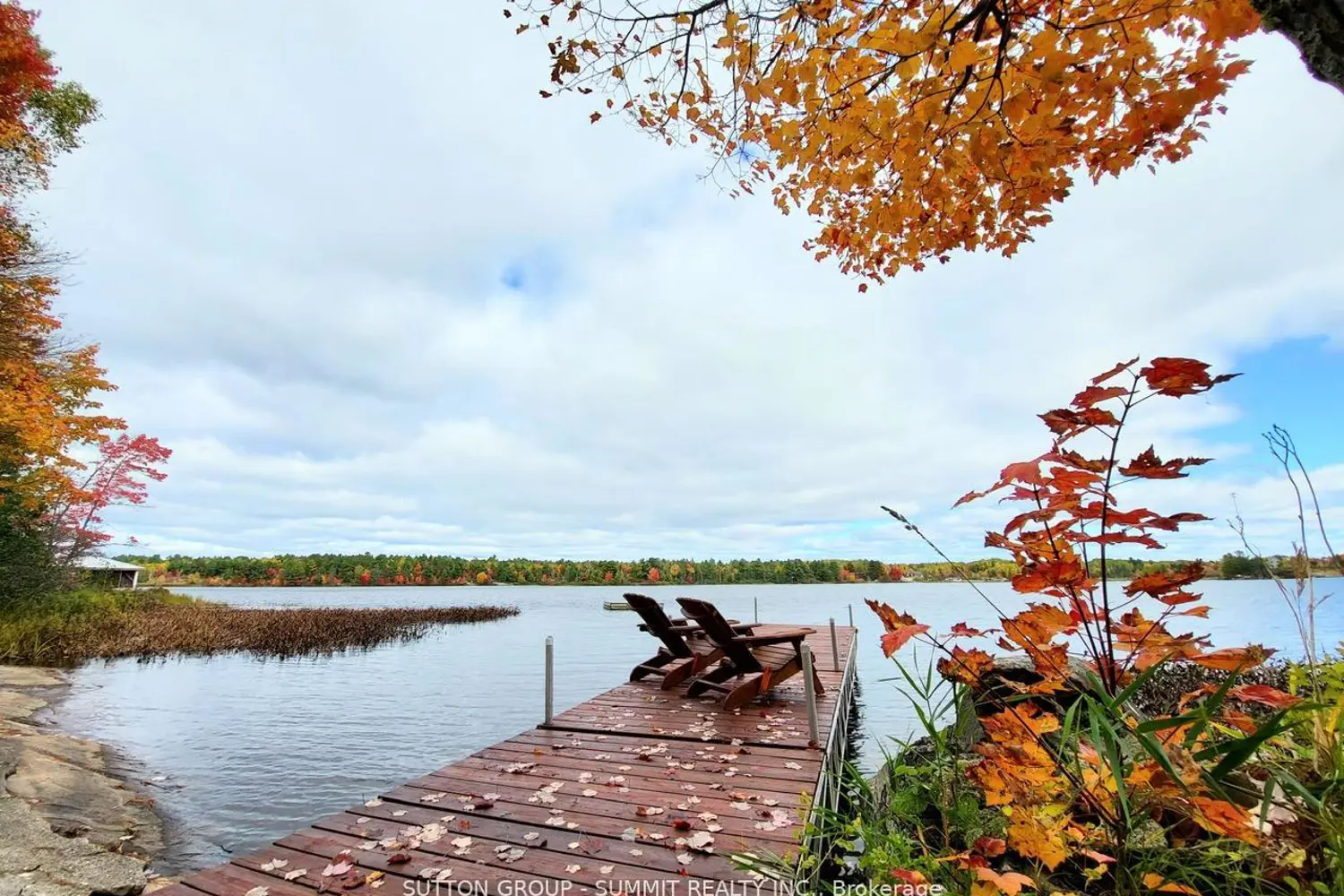 Additional image 4 of 98 West Ham Lake Road