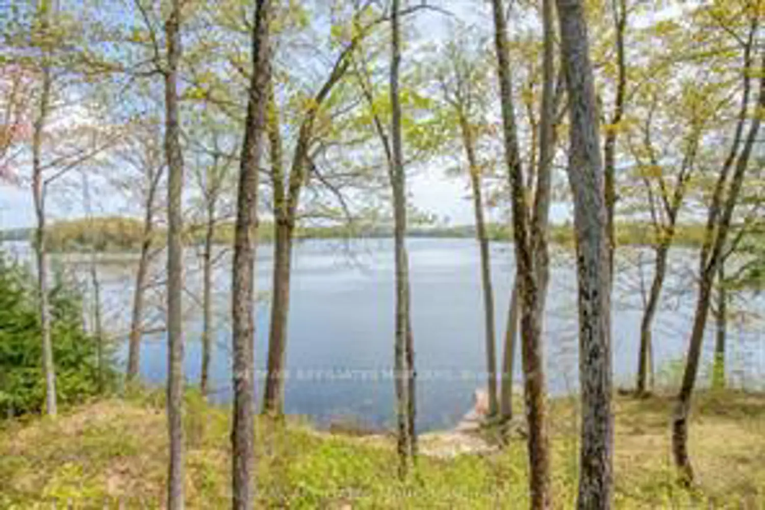 Additional image 4 of 787 Sherbrooke Drive