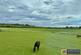 Additional image 23 of Sunniside Lane, Cleadon