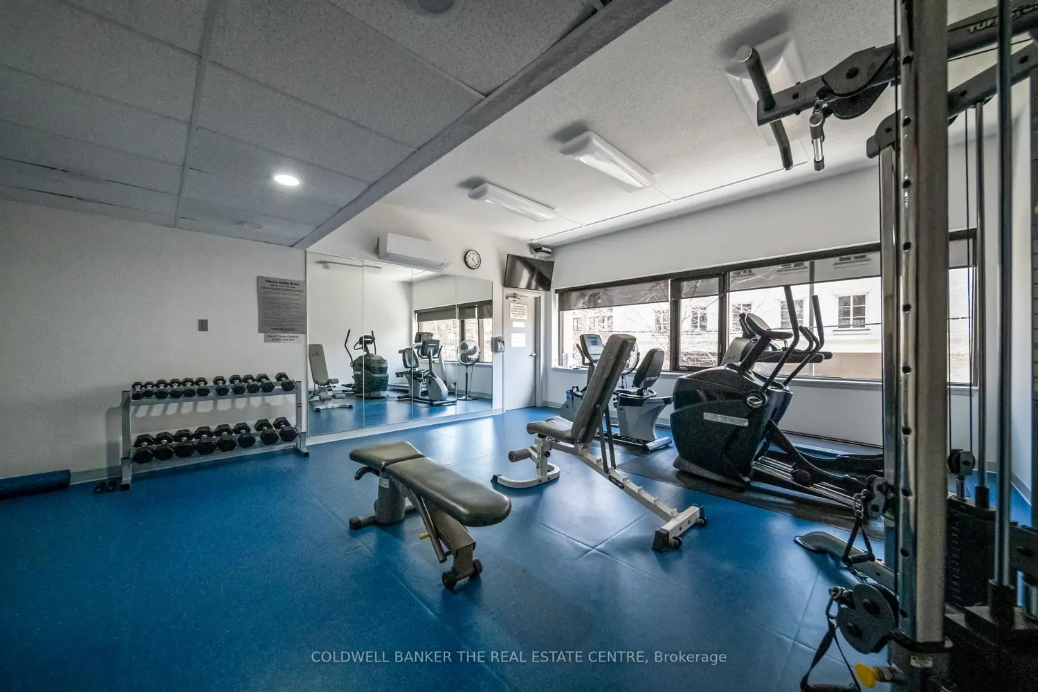 Additional image 17 of 447 Walmer Road 206