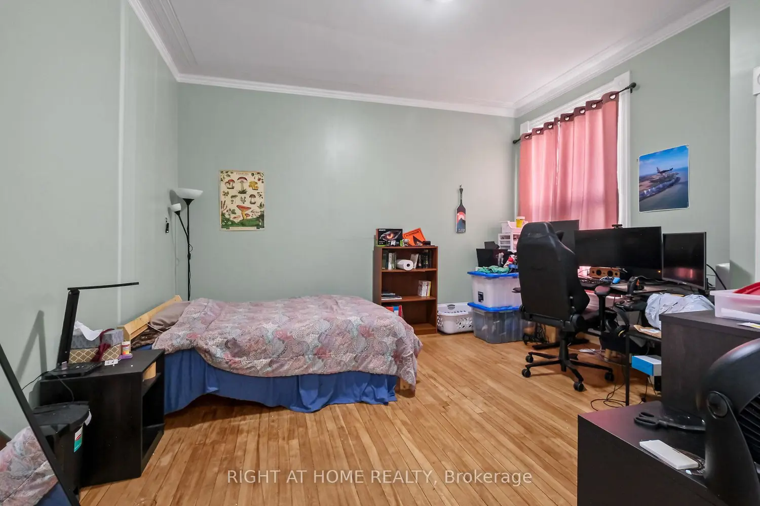 Additional image 4 of 93 Gilmour Street