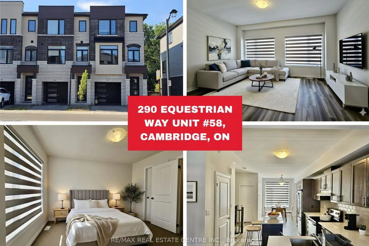 290 Equestrian Way 58