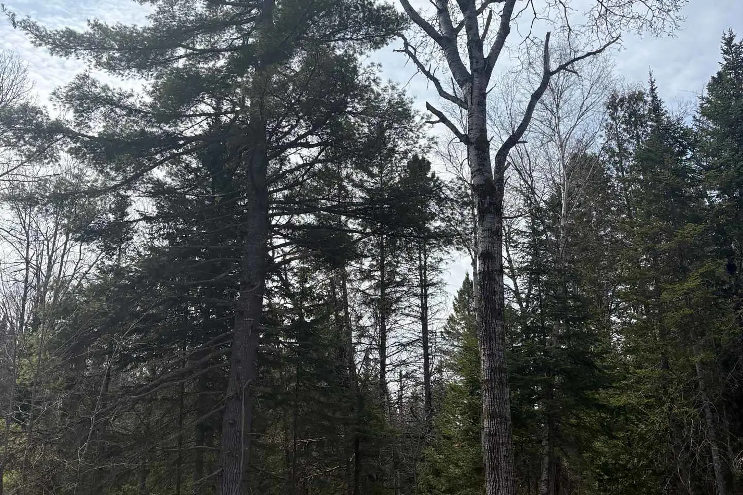 Additional image 12 of 1079 North Mackenzie Lake Road
