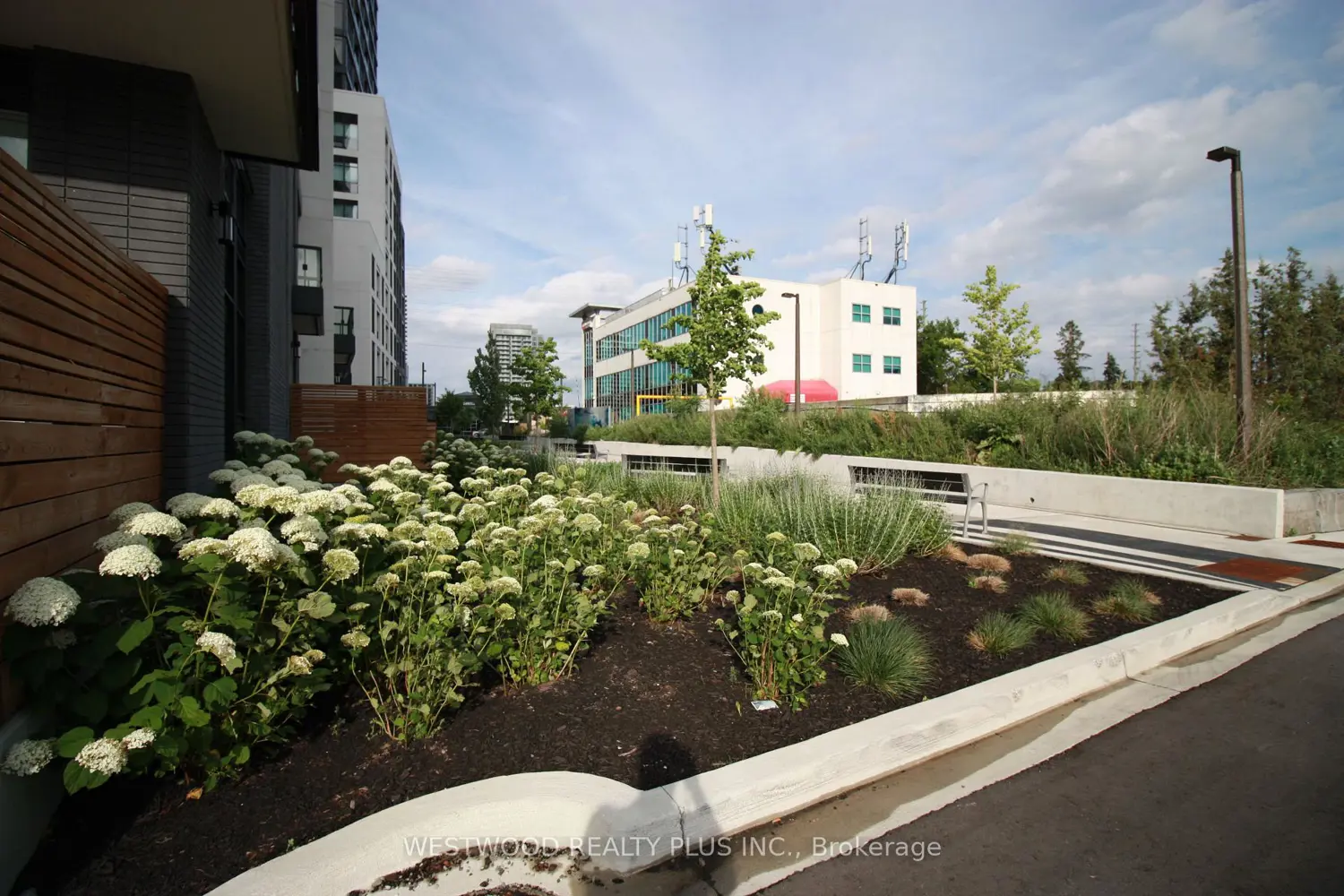 Additional image 12 of 3 Rosewater Street Th116w