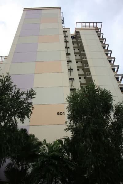 Additional image 14 of 601 Jurong West Street 62