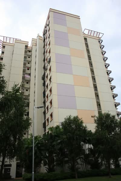 Additional image 13 of 601 Jurong West Street 62