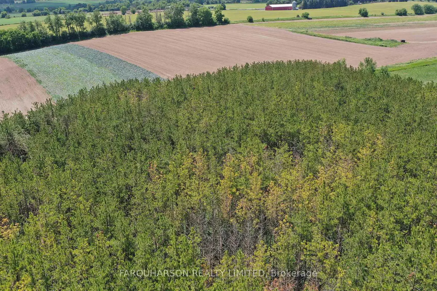 Additional image 19 of 729 Fowlers Road