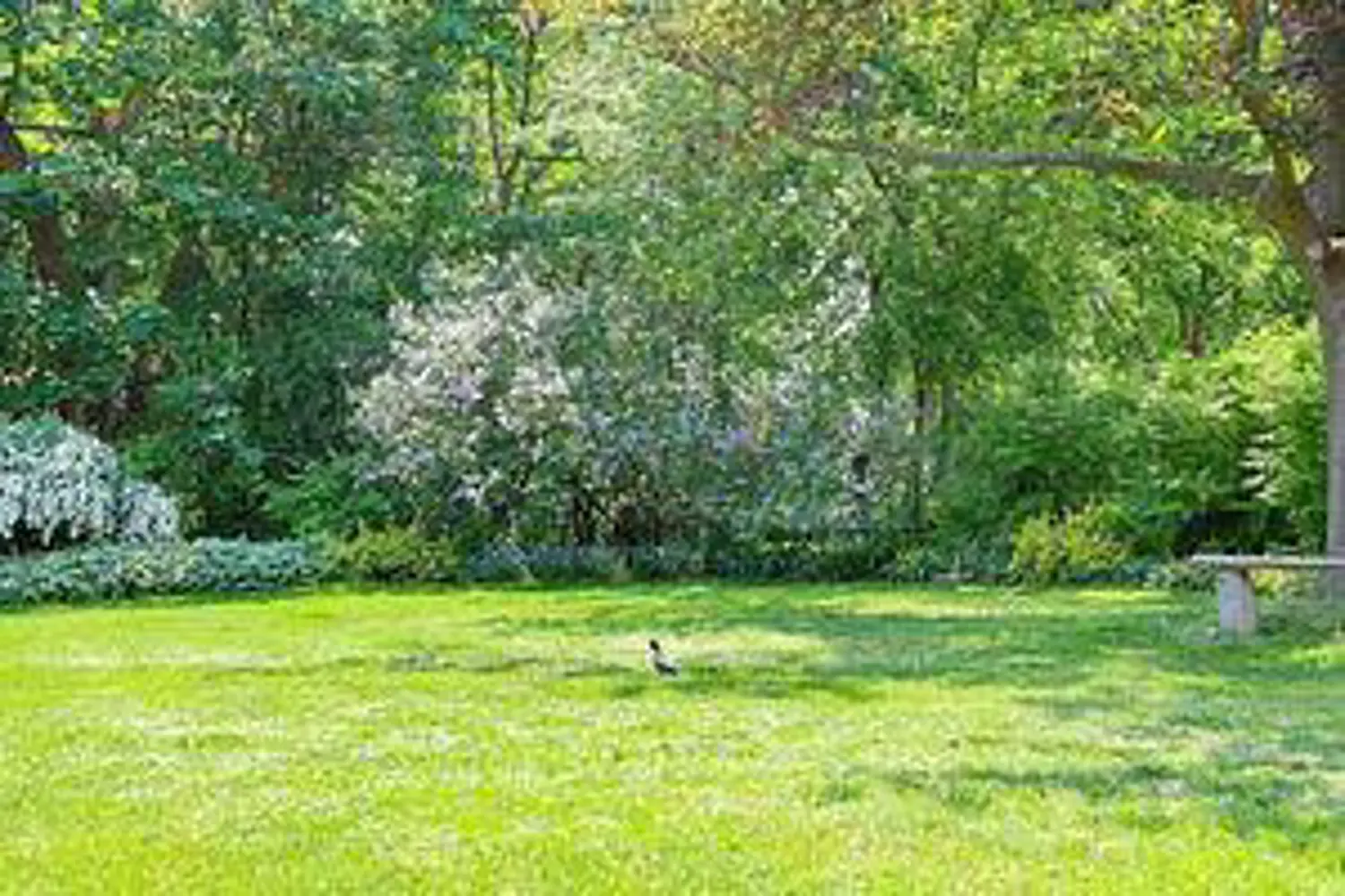 Additional image 18 of 53 Dennett Drive