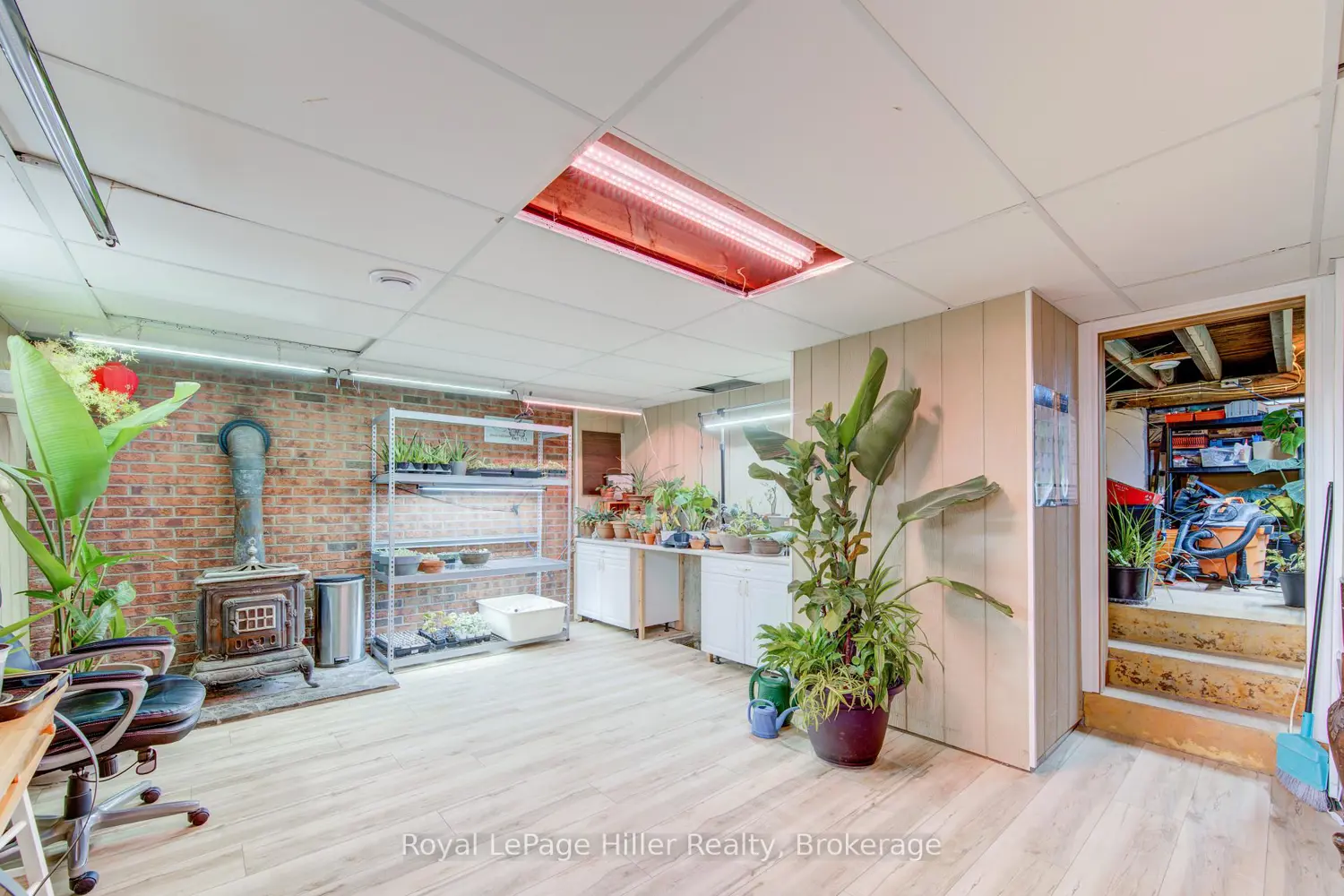 Additional image 14 of 31 Norfolk Street