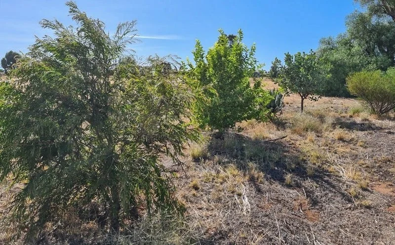 Additional image 9 of York WA 6302