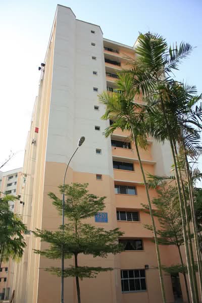 Additional image 9 of 520 Jurong West Street 52