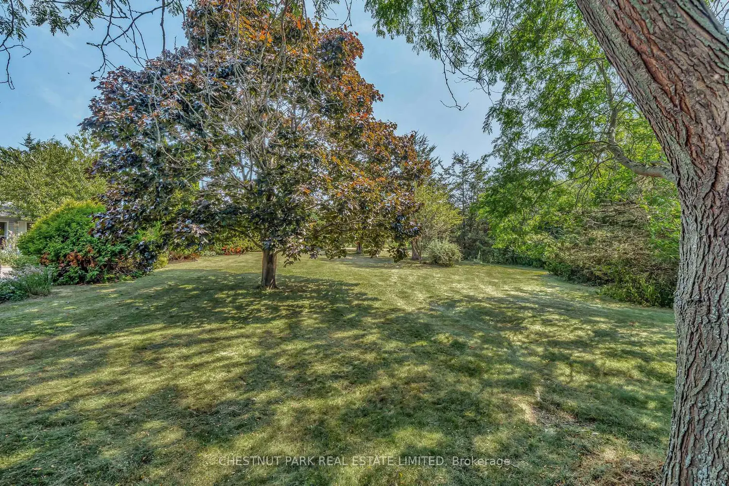 Additional image 17 of 207 Carnrike Road