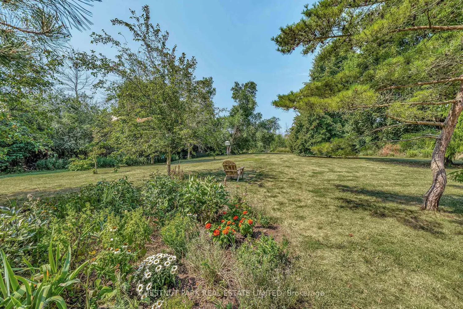 Additional image 18 of 207 Carnrike Road