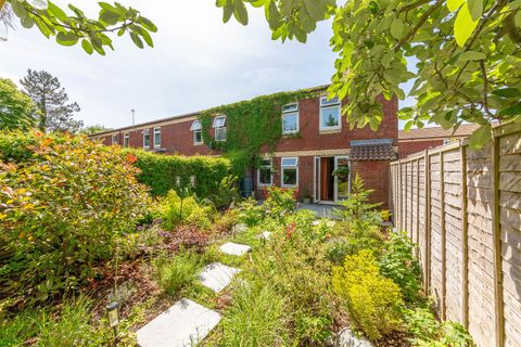Home Ground, Westbury-On-Trym, Bristol BS9