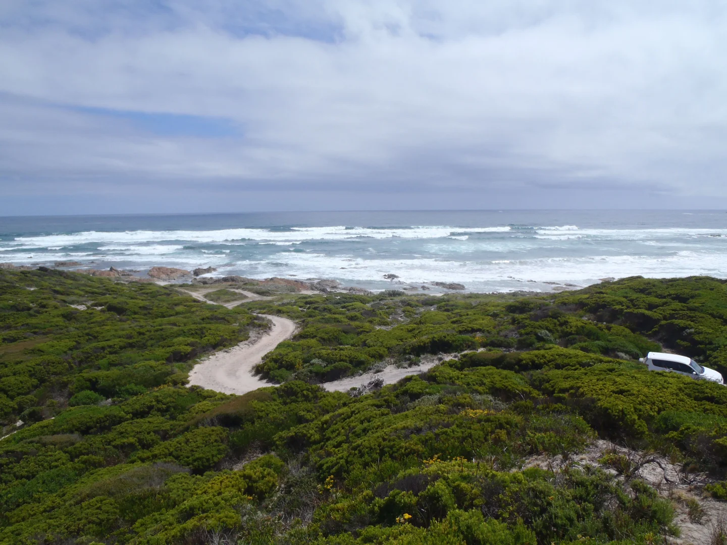Additional image 6 of Nugara TAS 7256